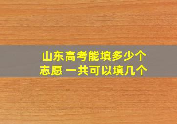 山东高考能填多少个志愿 一共可以填几个